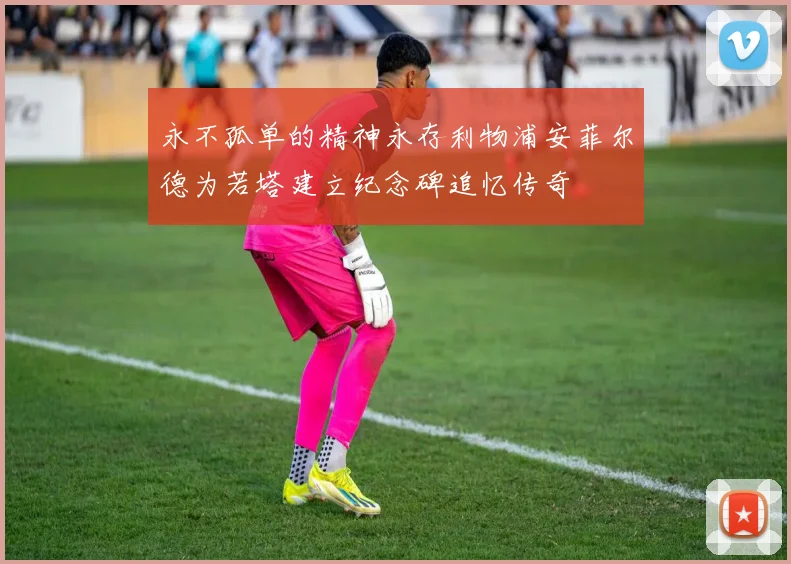 永不孤单的精神永存利物浦安菲尔德为若塔建立纪念碑追忆传奇