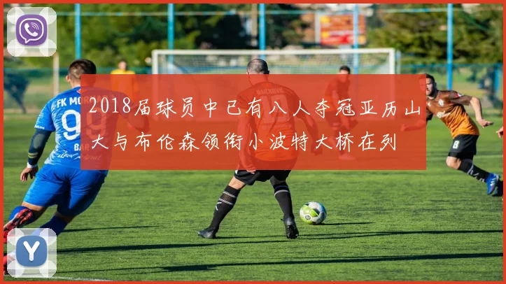 2018届球员中已有八人夺冠亚历山大与布伦森领衔小波特大桥在列